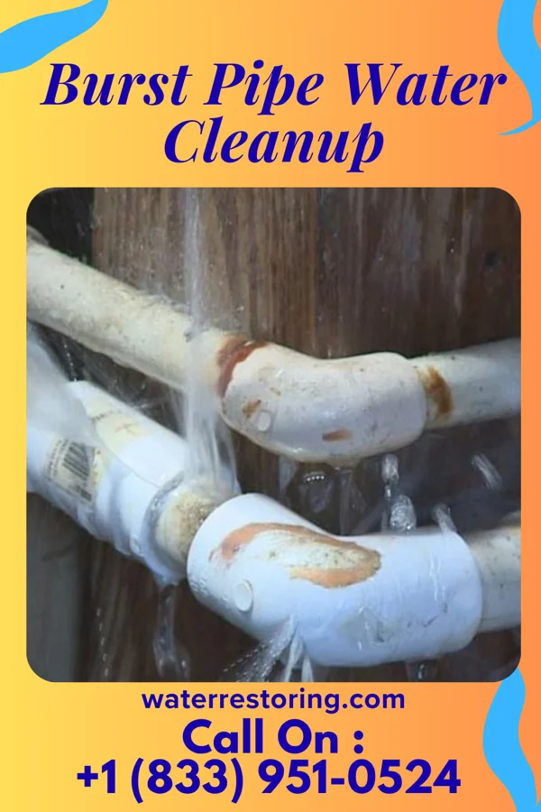 Burst Pipe Water Cleanup in Cateechee, SC