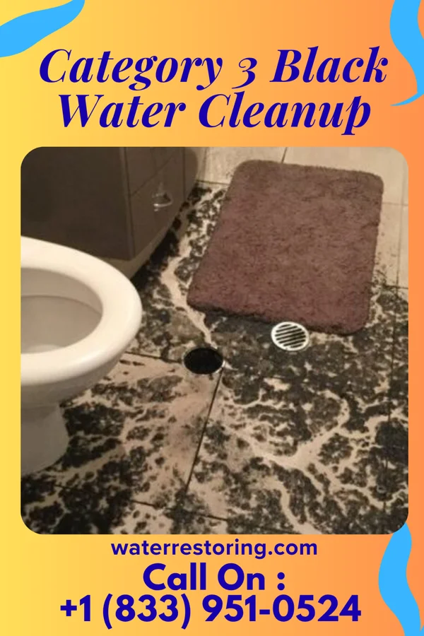 Category 3 Black Water Cleanup in Cateechee, SC
