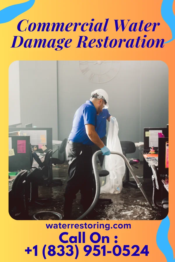 Commercial Water Damage Restoration in Cateechee, SC