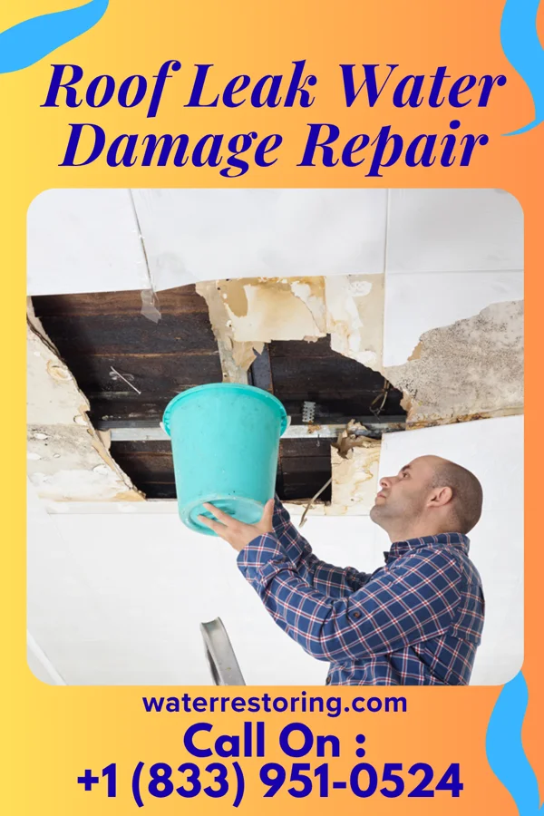 Roof Leak Water Damage Repair in Cateechee, SC